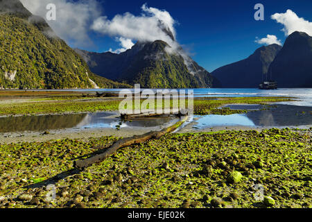 Milford Sound, Isola del Sud, Nuova Zelanda Foto Stock