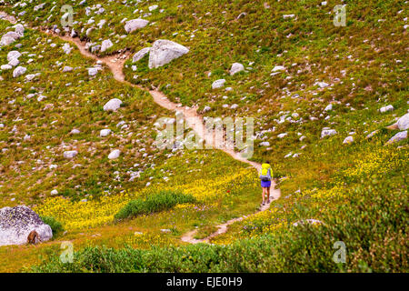 Donna escursionista in bacino Titcomb, Wind River Range, Pinedale, Wyoming. Foto Stock