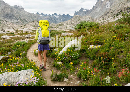 Donna escursionista in bacino Titcomb, Wind River Range, Pinedale, Wyoming. Foto Stock