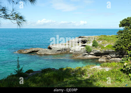 Bermuda costa formazioni di roccia Foto Stock