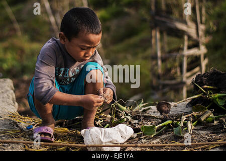 Un capretto con attività di pesca nell'morningin Pokhara, Nepal Foto Stock