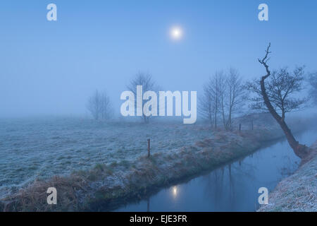 Luna brillare su foggy prato e il fiume, Paesi Bassi Foto Stock