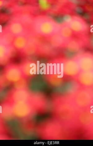 Abstract blur sullo sfondo, colorato, offuscata, sfondo Foto Stock