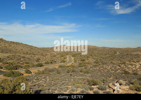 Una fotografia di Vista tasti a Joshua Tree National Park, in California. A Joshua tree è in realtà una Yucca che cresce come un albero. Foto Stock