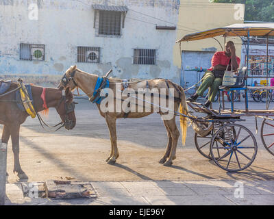 Il conducente di una carrozza trainata da cavalli utilizzati dal pendolarismo locali di Santiago de Cuba si siede sul sedile del conducente a tenere le redini. Foto Stock