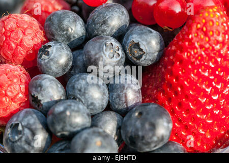 Fragole, mirtilli primo piano su consistenza frutti lusciosi Foto Stock