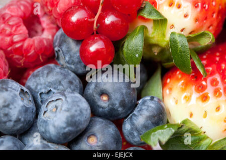 Primo piano mirtillo, beriri di frutta Foto Stock