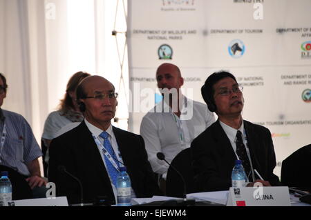 (150325)-- KASANE, Marzo 25, 2015(Xinhua)-- Sun?Zhagen(L), vice capo di Stato Amministrazione forestale della Cina assiste il Kasane Conferenza sul traffico illegale di commercio di specie selvatiche in Botswana nord-est della città di Kasane il 25 marzo 2015. Delegazioni provenienti da 35 paesi e circa 20 organizzazioni internazionali hanno partecipato ad una giornata di conferenza Kasane mercoledì in Kasane con lo scopo di far emergere gli impegni specificati per sradicare il mercato illegale di prodotti della fauna selvatica, assicurare un efficace deterrente e rafforzare l'applicazione della legge e di sviluppo economico. (Xinhua/Lu Tianran)(azp) Foto Stock