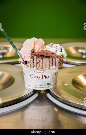 Marche, Fermo, Marche Tipicità, tipico 2015, stand alimentari "Ciro Pio", una coppa di gelato fatto in casa bio. Foto Stock