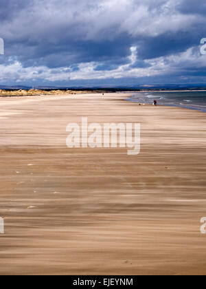 Soffiatura di sabbia sulla West Sands sotto un cielo tempestoso presso il St Andrews Fife Scozia Scotland Foto Stock