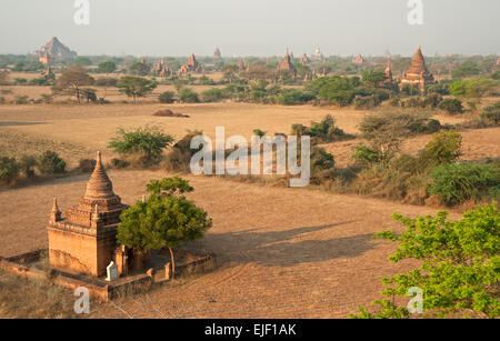 Centinaia di templi punteggiano la pianura polverosa di Bagan come il sole sorge in MYANMAR Birmania Foto Stock