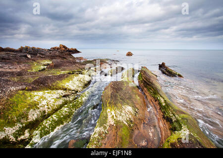 Le alghe ricoperta di rocce e cielo in tempesta sulla costa di Fife percorso vicino Kinkell Ness St Andrews Fife Scozia Scotland Foto Stock