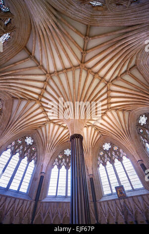 Il soffitto a volta del capitolo casa medievale della Cattedrale di Wells costruito nei primi inglese in stile gotico in 1175, Pozzi Foto Stock