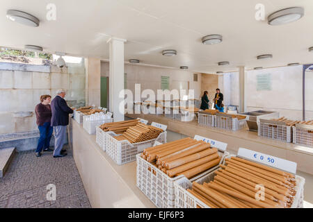 Santuario di Fatima, Portogallo. Candele votive in diversi formati per i pellegrini ad offrire in dono alla Madonna di Fatima Foto Stock