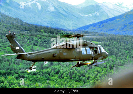 Un UH-60un Black Hawk elicottero porta i soldati di partecipare alla fine dell'Artico Sapper concorrenza su base comune Elmendorf-Richardson in Alaska, e il agosto 17, 2011. I soldati sono assegnati al 6° Battaglione ingegnere. Sei squadre di 8 a 11 soldati hanno gareggiato in arrampicata in montagna, rappelling, Attraversamento di fiume e altri contro gli eventi di ingegnere. Justin Connaher Foto Stock