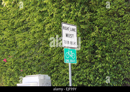 Codice della strada - la corsia di destra deve girare a destra. Itinerario in bicicletta. Cartello stradale in California, Stati Uniti d'America Foto Stock