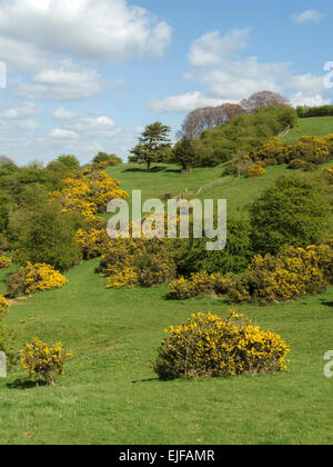 Leicestershire Round a lunga distanza sentiero di campagna vicino a Burrough Hill, Leicestershire, Inghilterra, Regno Unito. Foto Stock