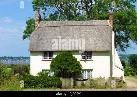 Tipico paese pittoresco cottage a casa di Powderham nel South Devon, Inghilterra, Regno Unito Foto Stock