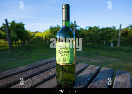 Bottiglia di inglese Ortega vino bianco prodotto a Biddenden English Vineyards Ltd nel Kent, Regno Unito Foto Stock