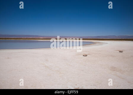 Laguna Cejar, los Flamencos riserva nazionale, San Pedro de Atacama, El Loa Provincia, Regione di Antofagasta, Cile Foto Stock