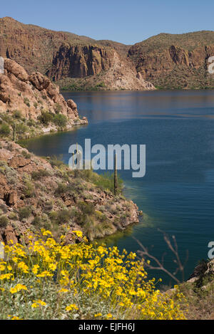 Vista del Canyon Lake sul sentiero di Apache in Arizona Foto Stock