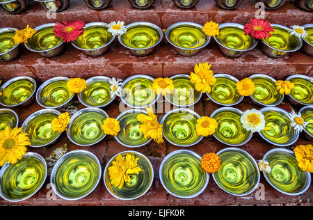Ciotole con acqua con lo zafferano e fiori a Bodhnath stupa in valle di Kathmandu, Nepal Foto Stock