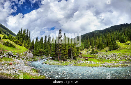 Fiume di montagna vicino a Saint lago in Kirghizistan, in Asia centrale Foto Stock