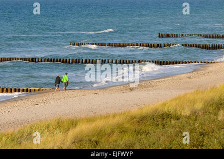 Spiaggia di Ahrenhoop con pennelli, Meclemburgo-Pomerania, Germania Foto Stock