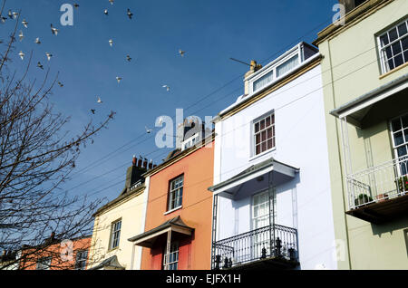 Terrazza colorate di case Vittoriane Cliftonwood nella zona della città di Bristol Foto Stock