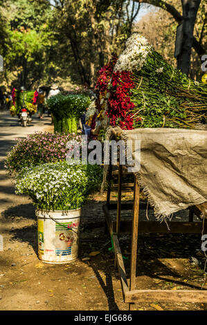 Flower Market Street scene Foto Stock