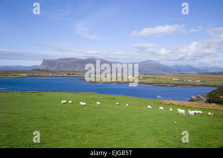 Vista sul loch scridain dal bunessan a burg o ardmeanach mull Foto Stock