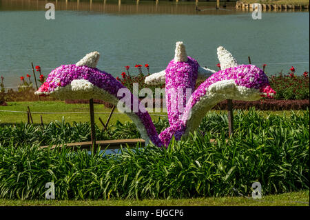 Giardini Pyinoolwn Foto Stock