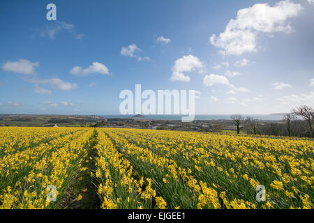 Penzance, Cornwall, Regno Unito. Il 26 marzo 2015. Regno Unito Meteo. Cieli soleggiati su Mounts Bay, guardando verso St Michaels mount. Credito: Simon Yates/Alamy Live News Foto Stock