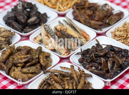 Gli insetti commestibili. Cavallette, Buffalo Worms e i grilli in  pacchetti. Il cibo del futuro Foto stock - Alamy