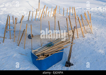 Moose scraping pelle Northern James Bay Quebec Foto Stock