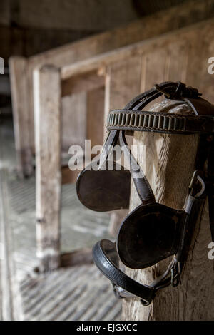 Tyneham, UK. 26 Mar, 2015. Reliquie nascoste - Tyneham villaggio fu evacuata nel 1943 in preparazione per la seconda guerra mondiale ed è stato abbandonato da allora. L'esercito MOD varia in Oriente Lulworth sono occasionalmente aperta per il pubblico in generale alla visita che permette ai visitatori di passeggiare attraverso le strade vuote e case abbandonate. La 225 sfollati residenti del villaggio aveva intenzione di tornare come la disposizione a cogliere il villaggio è stata solo temporanea, per ultima la durata della guerra ma è stata successivamente obbligatoria acquistati nel 1948. Credito: Wayne Farrell/Alamy Live News Foto Stock