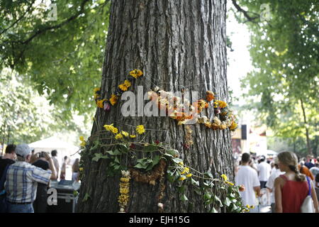 Fiori su un albero inTomkins Square Park di New York City inferiore dell'Eastside durante il 2007 Howl Festival. Foto Stock