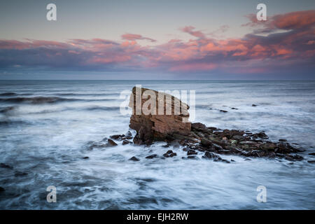 Charlie's Garden sea stack al Colywell Bay, Northumberland al tramonto e alta marea con mare mosso di schiantarsi intorno alle rocce. Foto Stock