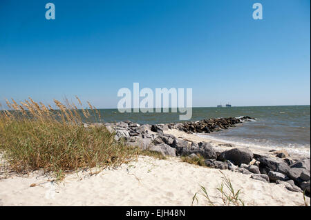 Jetty e erba di mare lungo il litorale Dauphin Island Alabama Foto Stock