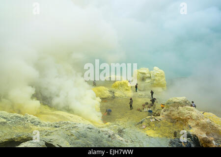 I minatori di zolfo di data mining al cratere Ijen, East Java, Indonesia Foto Stock