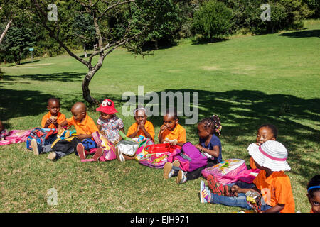 Johannesburg Sud Africa, Roodepoort africano, Walter Sisulu National Botanical Garden, Witwatersrand, Muldersdrif se Loop, Roodekrans, cascata, scogliera, Rive Foto Stock