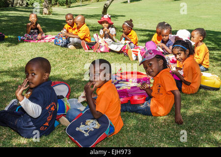 Johannesburg Sud Africa, Roodepoort, Walter Sisulu National Botanical Garden, Witwatersrand, Muldersdrif se Loop, Roodekrans, cascata, scogliera, fiume, Nero Foto Stock