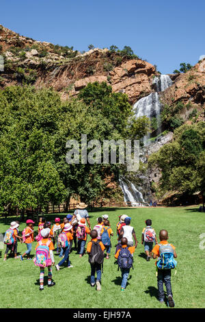 Johannesburg Sud Africa, Roodepoort africano, Walter Sisulu National Botanical Garden, Witwatersrand, Muldersdrif se Loop, Roodekrans, cascata, scogliera, Rive Foto Stock