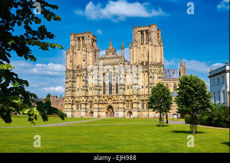 La facciata della medievale Cattedrale di Wells costruito nei primi inglese in stile gotico in 1175, Wells Somerset, Inghilterra Foto Stock