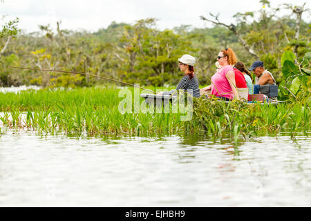 I turisti la pesca leggendario pesce Piranha in Amazzonia ecuadoriana giungla primaria Foto Stock