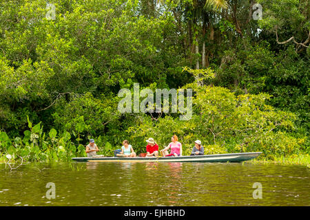 I turisti la pesca leggendario pesce Piranha in Amazzonia ecuadoriana giungla primaria Foto Stock