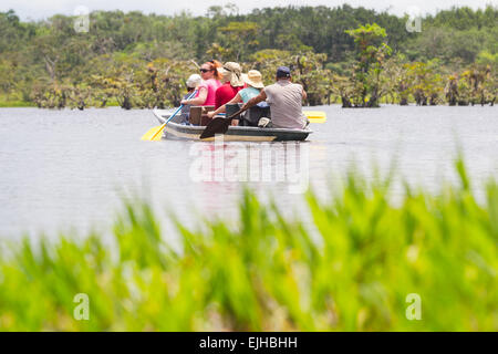 I turisti la pesca leggendario pesce Piranha in Amazzonia ecuadoriana giungla primaria Foto Stock