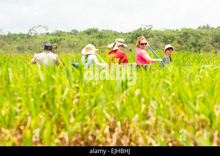 I turisti la pesca leggendario pesce Piranha in Amazzonia ecuadoriana giungla primaria Foto Stock