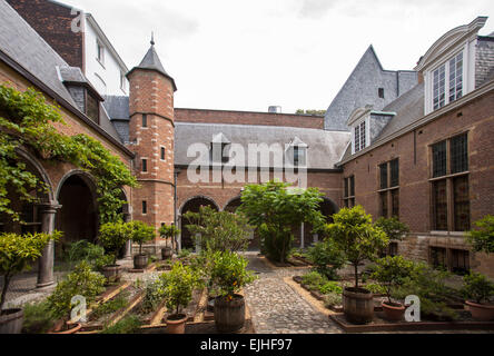 Museo Plantin-Moretus motivi, Anversa, Belgio Foto Stock