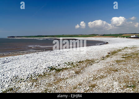 Spiaggia di Aberthaw, Gileston, Glamorgan Heritage Costa, Vale of Glamorgan, South Wales, Regno Unito. Foto Stock